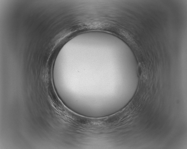 X0000053010583200507221315