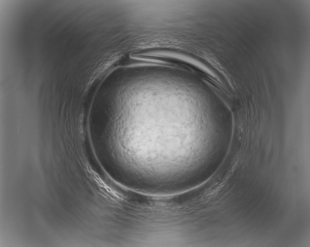 X0000053010585200507221315