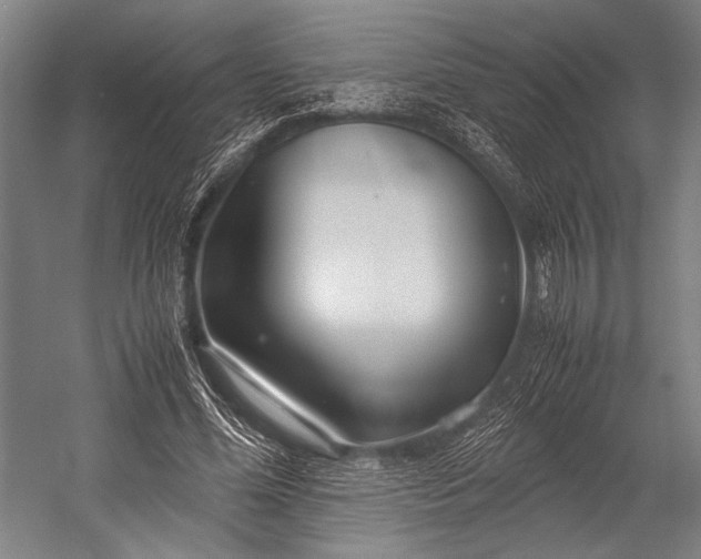 X0000053010588200507221315