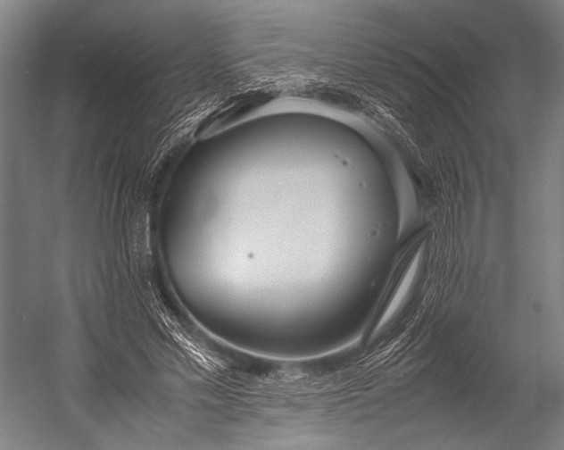 X0000053010589200507221315