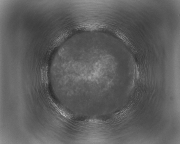 X0000053010590200507221315