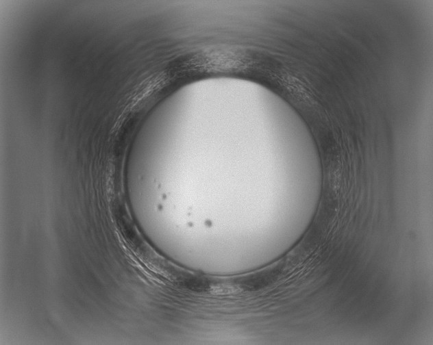 X0000053010591200507221315