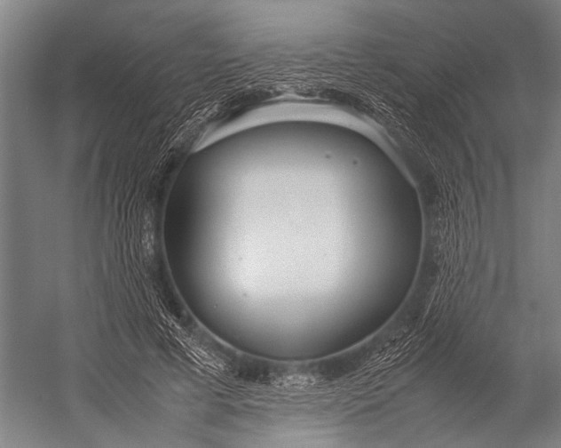 X0000053010593200507221315