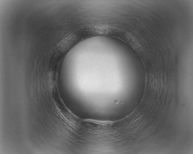 X0000053010594200507221315