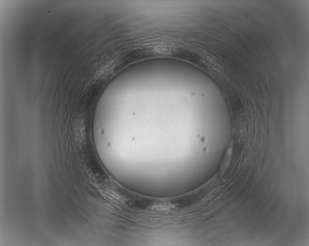 X0000053010595200507221315