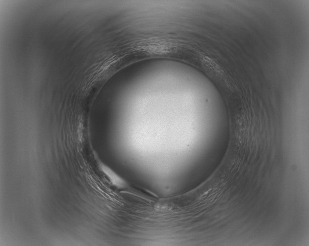 X0000053010596200507221315