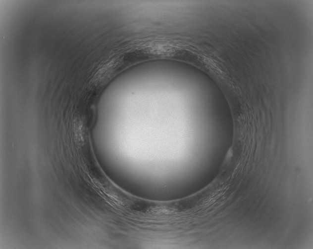 X0000053010597200507221315