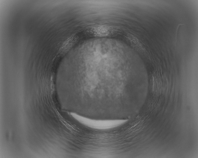 X0000053010598200507221315