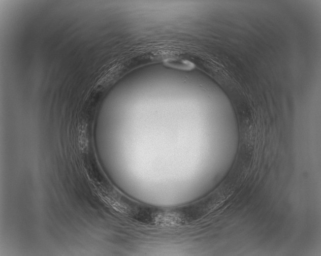 X0000053010599200507221315