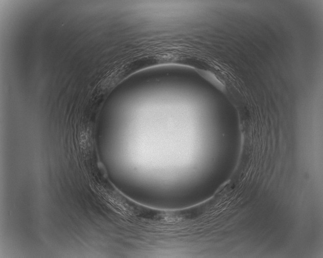 X0000053010601200507221315