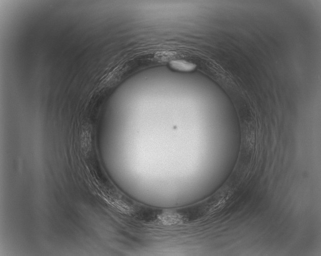 X0000053010603200507221315