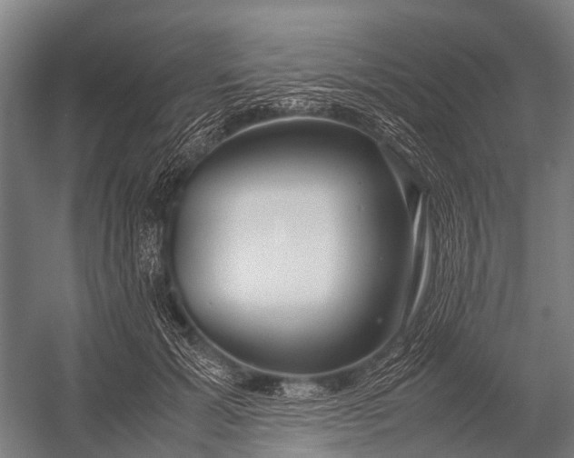 X0000053010605200507221315