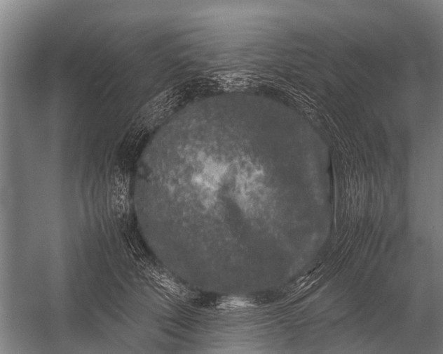 X0000053010610200507221315