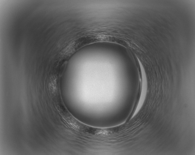 X0000053010611200507221315