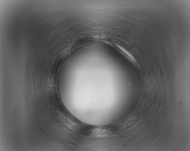 X0000053010614200507221315