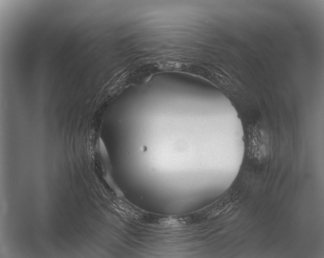 X0000053010616200507221315