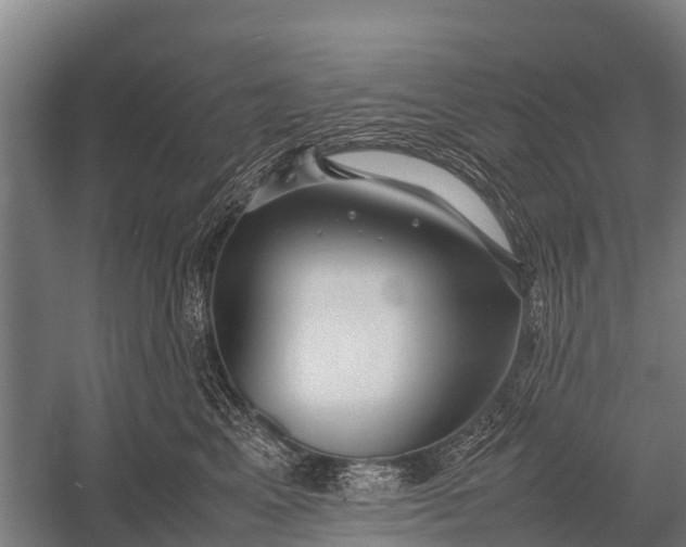 X0000053010617200507221315