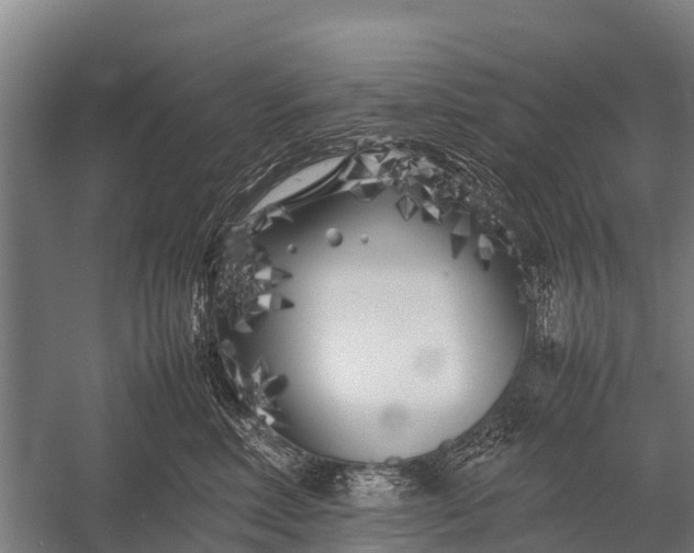 X0000053010618200507221315