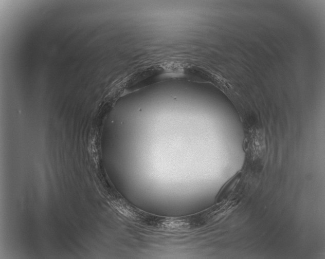 X0000053010619200507221315