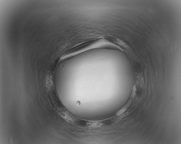 X0000053010621200507221315