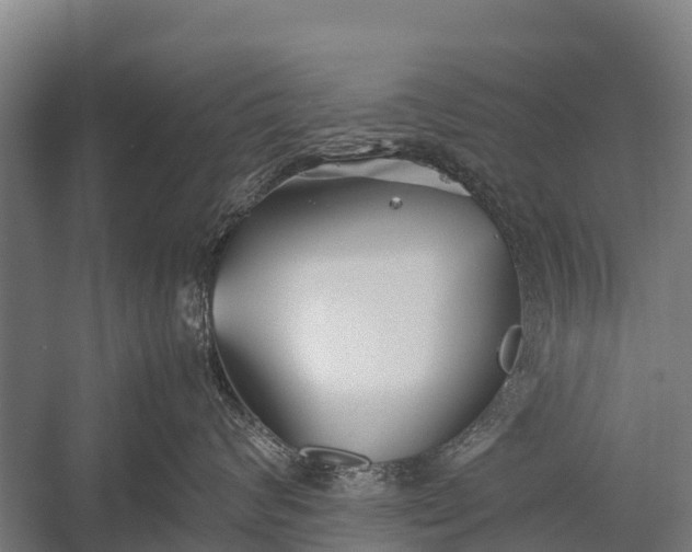 X0000053010624200507221315