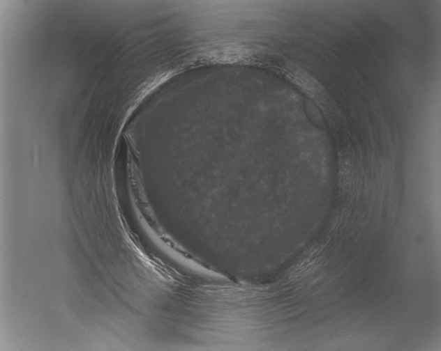 X0000053010626200507221314