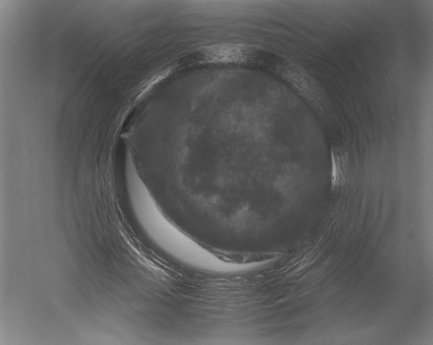 X0000053010627200507221314