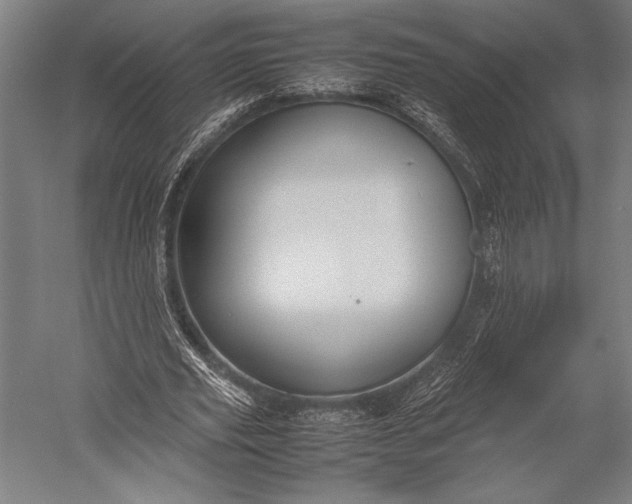 X0000053010629200507221314