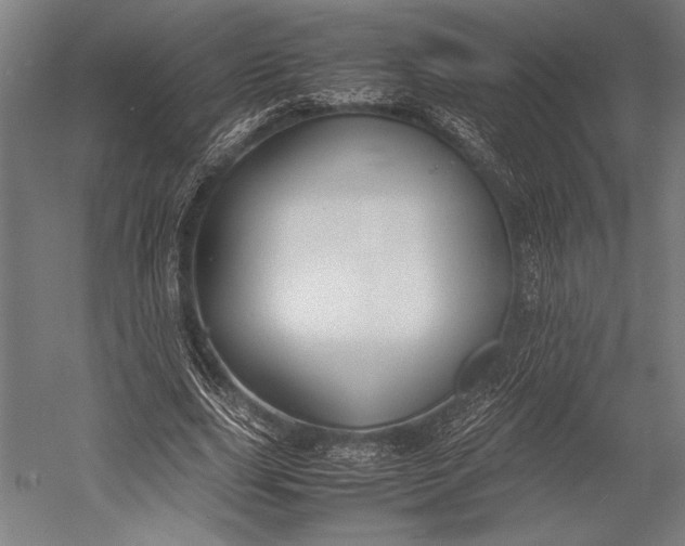 X0000053010631200507221314