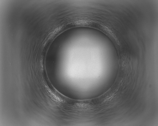 X0000053010633200507221314