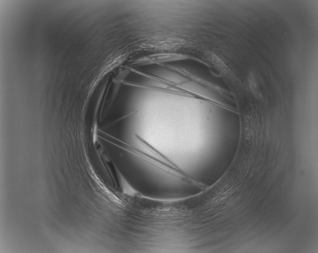 X0000053010634200507221314