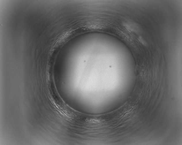 X0000053010635200507221314