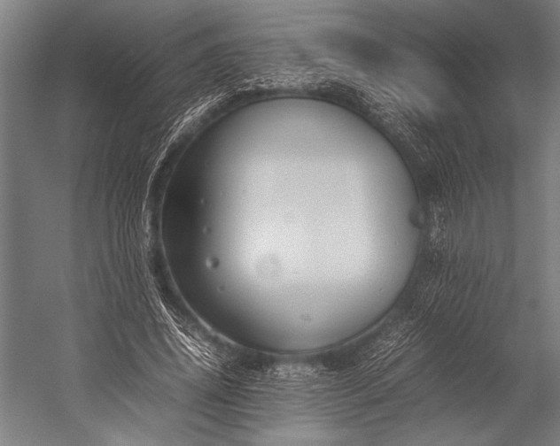 X0000053010636200507221314