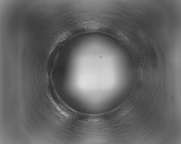 X0000053010638200507221314