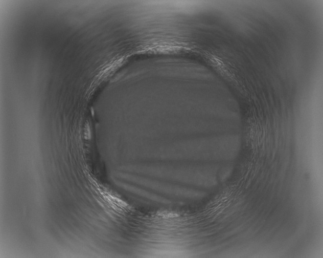 X0000053010640200507221314