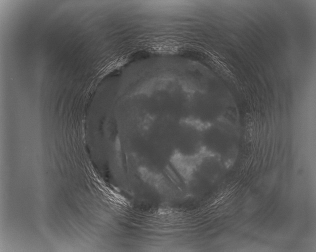 X0000053010641200507221314