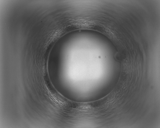 X0000053010642200507221314