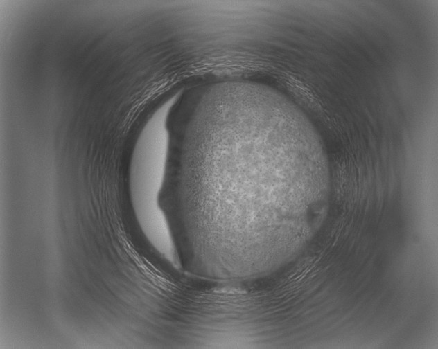 X0000053010644200507221314