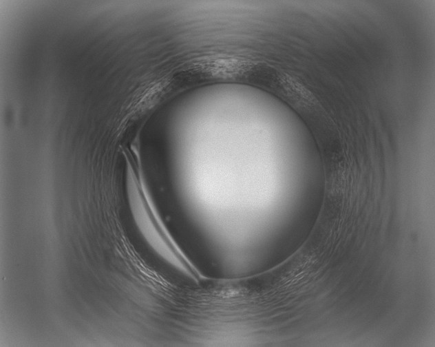 X0000053010646200507221314