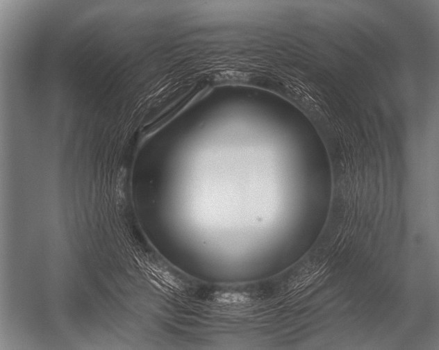 X0000053010649200507221314