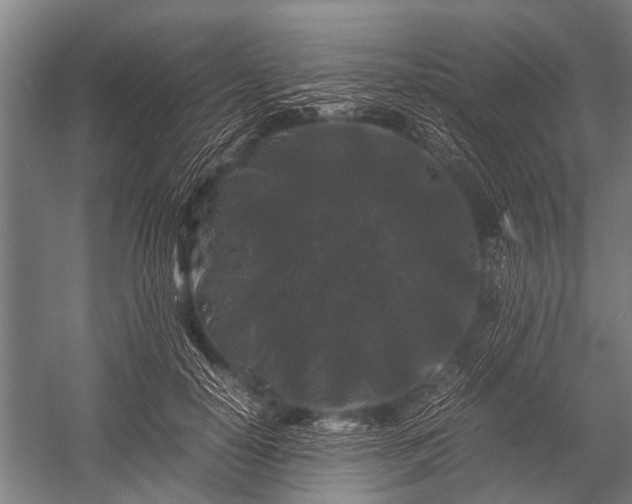 X0000053010650200507221314