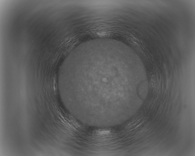 X0000053010651200507221314