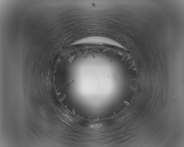 X0000053010653200507221314