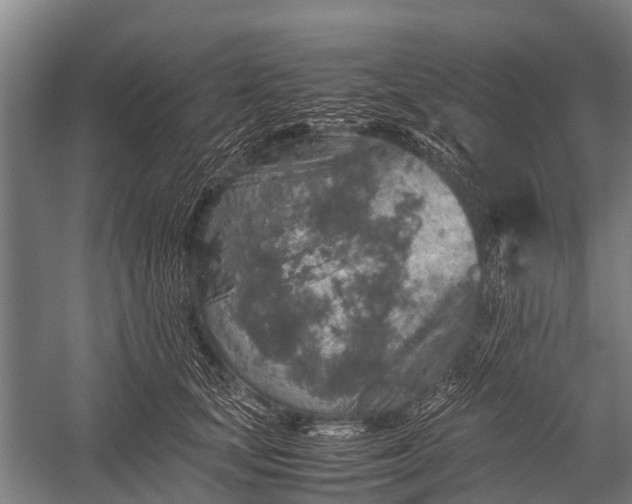 X0000053010659200507221314