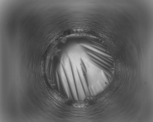 X0000053010661200507221315