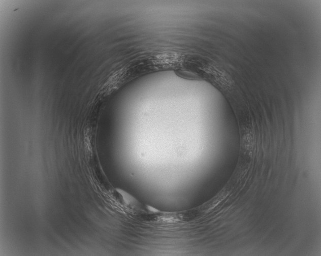 X0000053010662200507221315