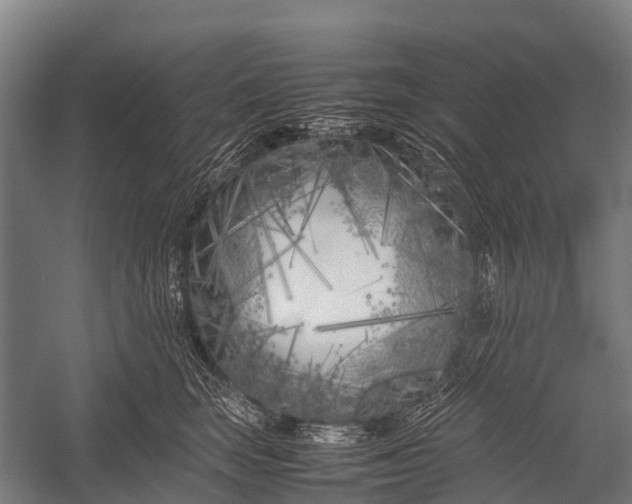 X0000053010663200507221315