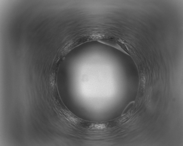 X0000053010665200507221315