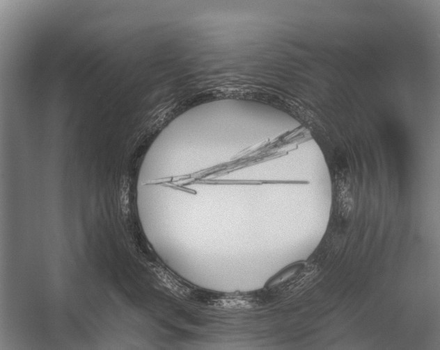 X0000053010668200507221315