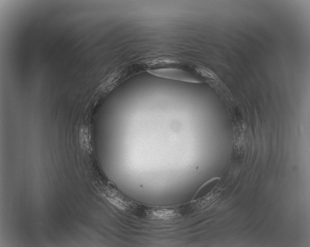 X0000053010669200507221315